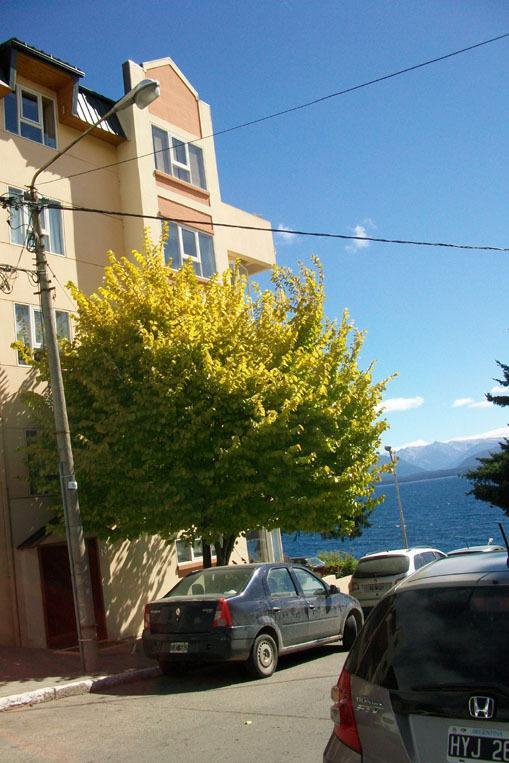 Departamento Costanera Apartment San Carlos de Bariloche Luaran gambar